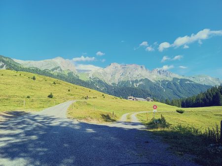 IMG_20230715_093559_564